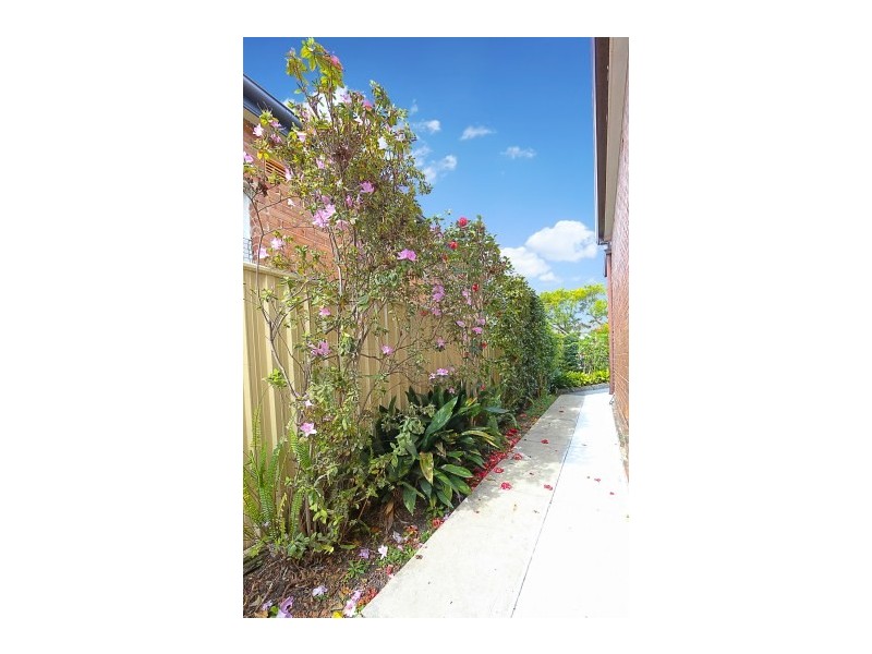 25B Emu Street, Canterbury NSW 2193