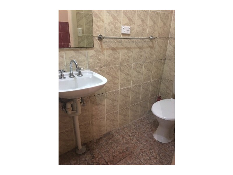 3/11 Albion Street, Annandale NSW 2038