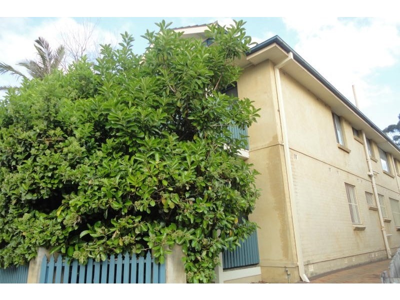 8/29 Fort Street, Petersham NSW 2049