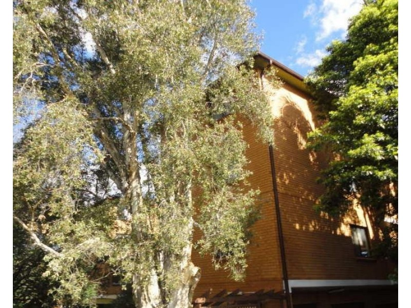 12/33 Livingstone Road, Petersham NSW 2049