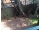 9/167 First Avenue, Five Dock NSW 2046