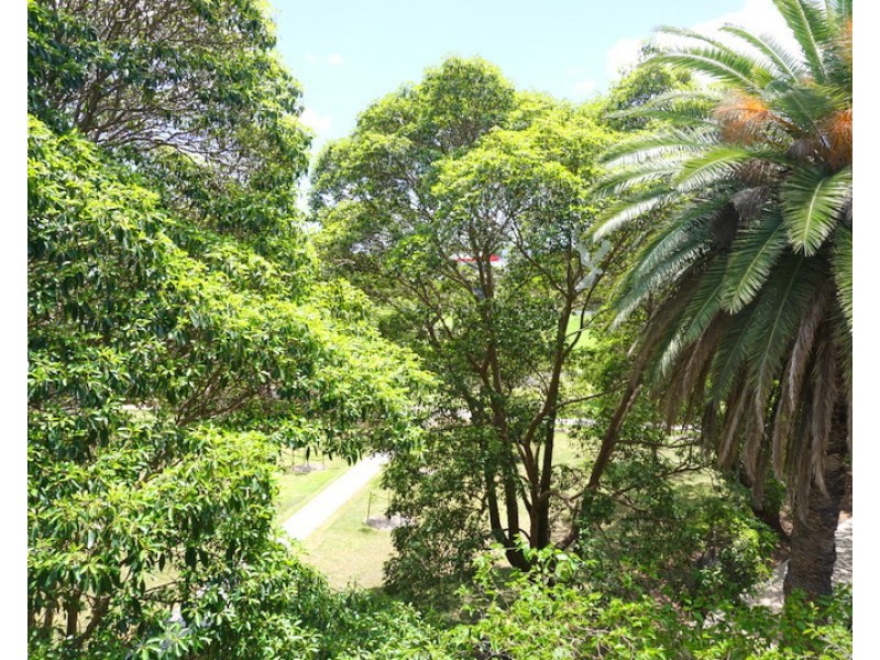304/15 West Street, Petersham NSW 2049
