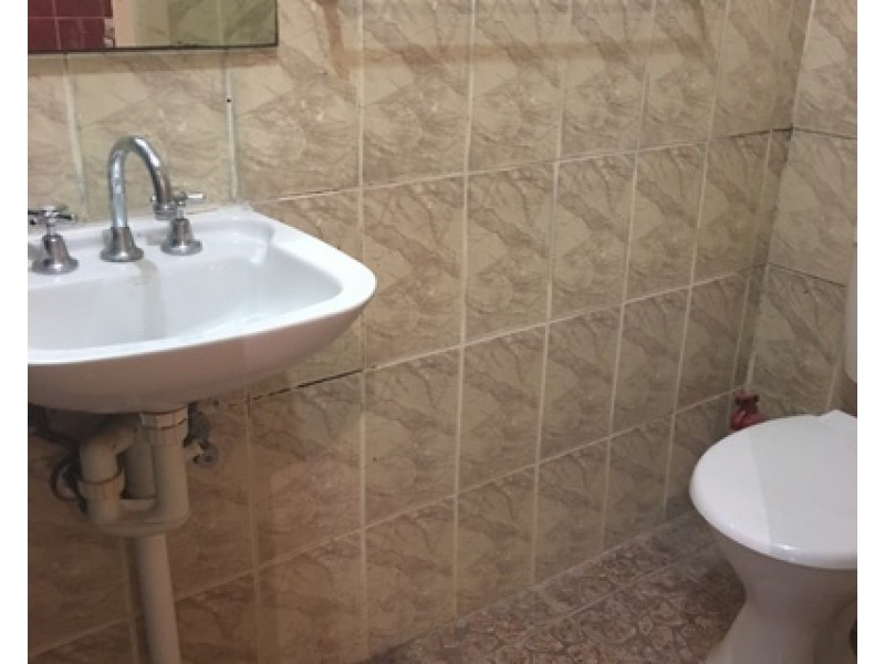 3/11 Albion Street, Annandale NSW 2038