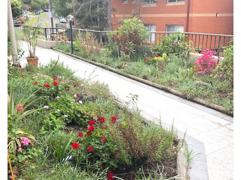 4/44 Hill Street, Marrickville NSW 2204