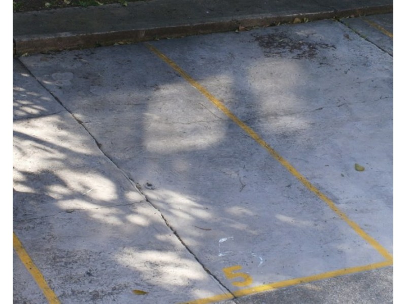 Dulwich Hill NSW 2203