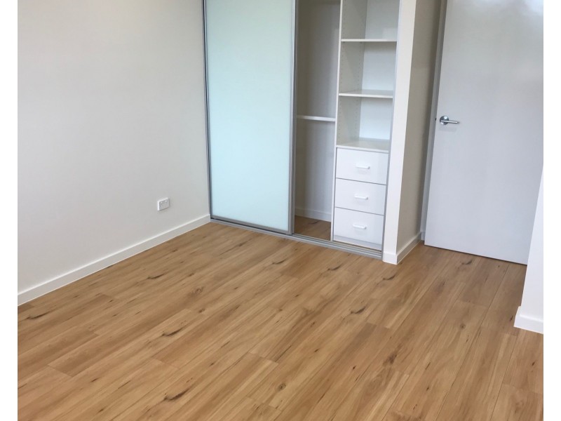 6 Thomas Street, Ashfield NSW 2131
