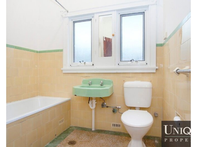 27 Lucy Street, Ashfield NSW 2131