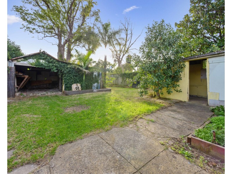 13 Webb, Burwood NSW 2134