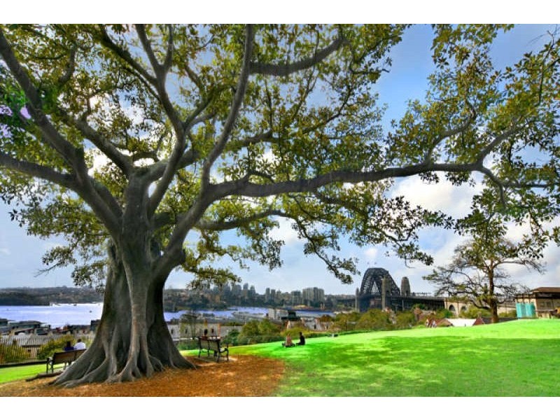 Unit 2206/183 Kent Street, Sydney NSW 2000