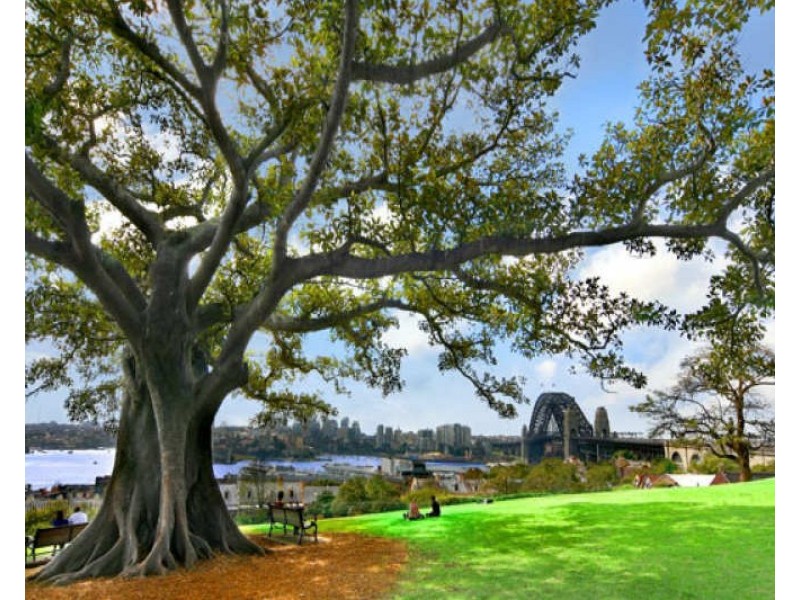 21A Kent Street, Millers Point NSW 2000