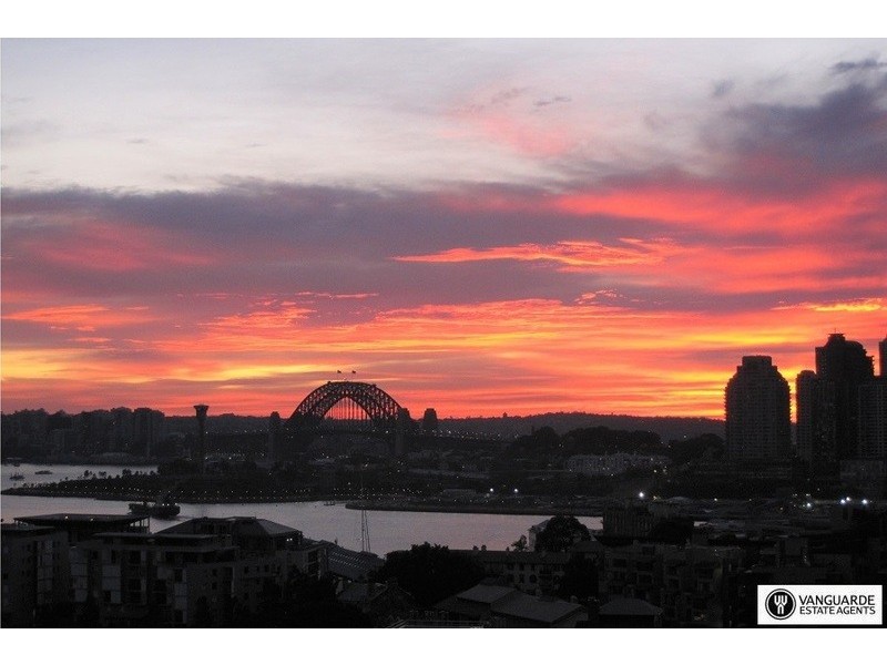 45 Bowman Street, Pyrmont NSW 2009