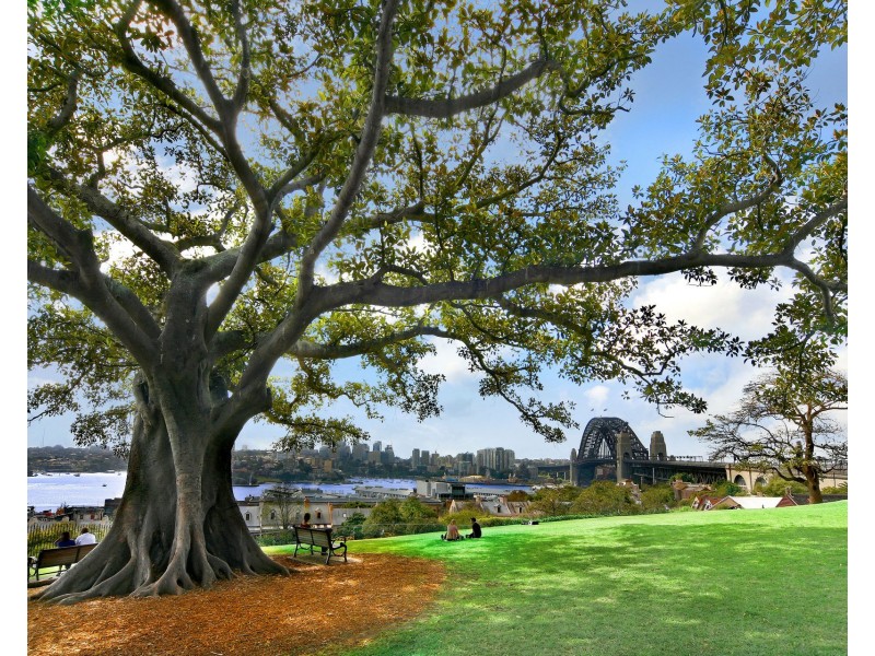 705/187 Kent Street, Millers Point NSW 2000