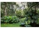 33a Staff Street, Wollongong NSW 2500