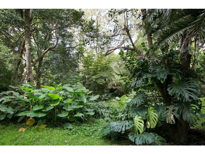 33a Staff Street, Wollongong NSW 2500