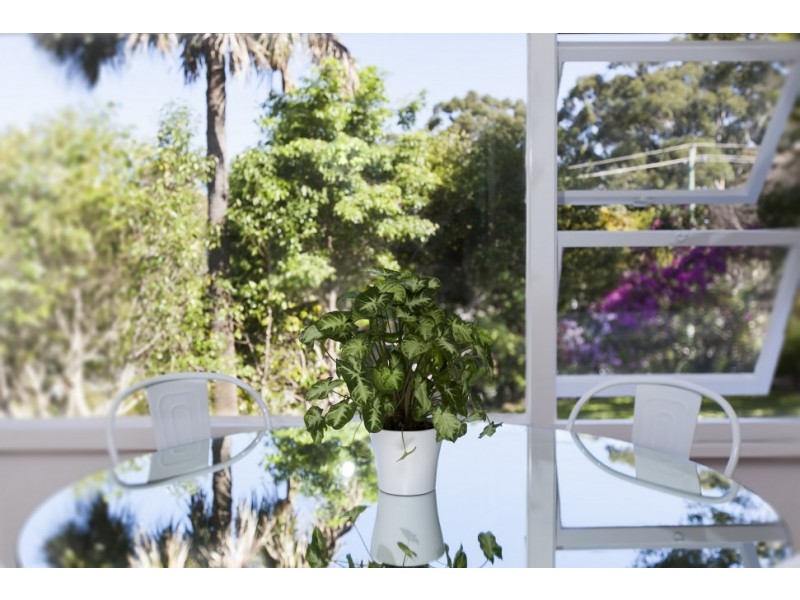 54 Greenslopes Avenue, Mount Pleasant NSW 2519