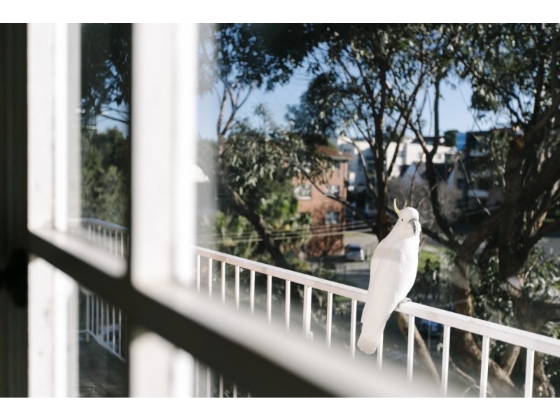 21/48-54 Smith Street, Wollongong NSW 2500