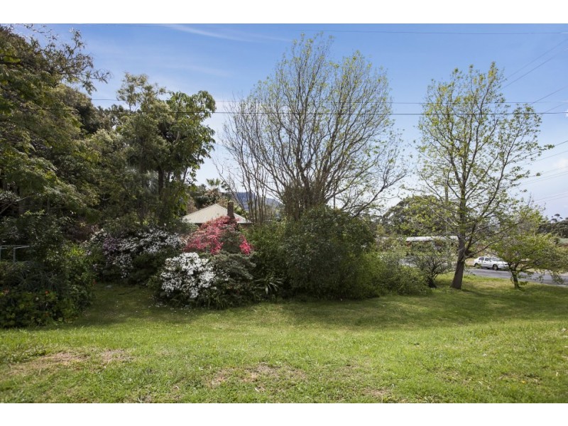 206 Brokers Road, Mount Pleasant NSW 2519