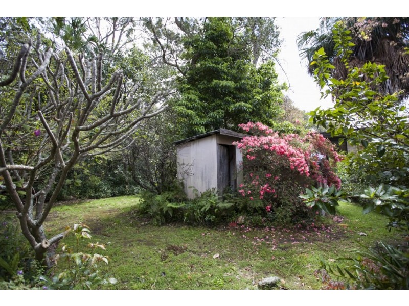 206 Brokers Road, Mount Pleasant NSW 2519