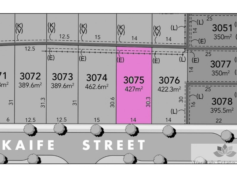 Lot 3075 Skaife Street, Oran Park NSW 2570