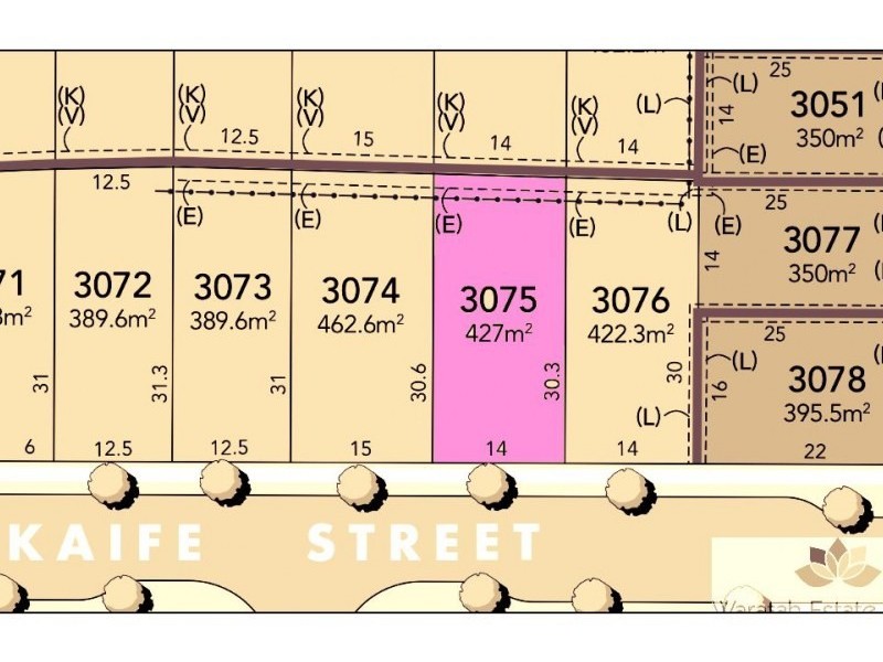 Lot 3075 Skaife Street, Oran Park NSW 2570