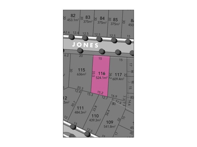 Lot 116,  Jones Street, Oran Park NSW 2570
