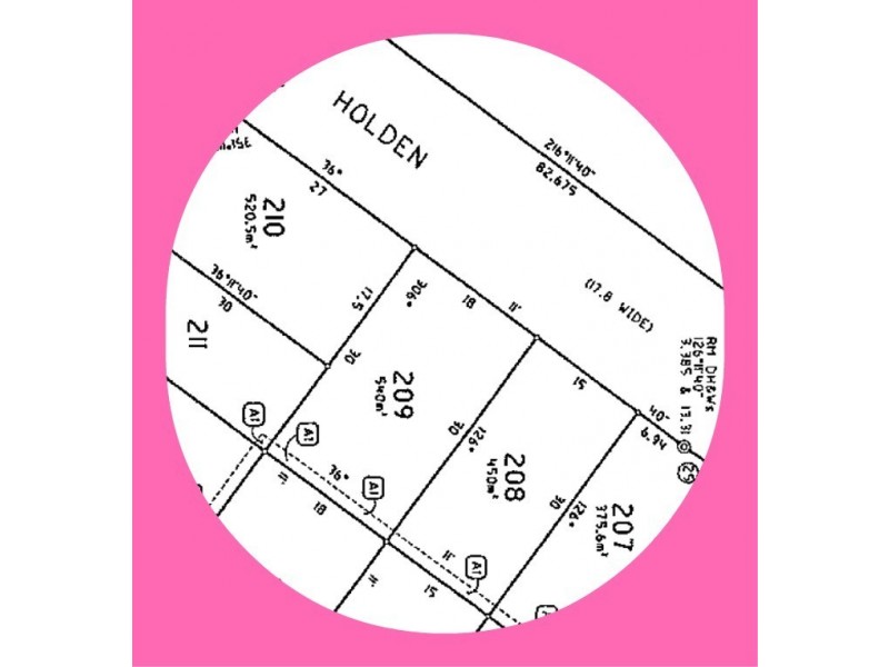 Lot 209, 141 Holden Drive, Oran Park NSW 2570