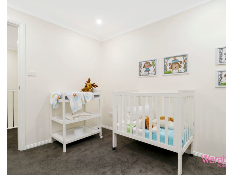 15 Blackheath Street, The Ponds NSW 2769