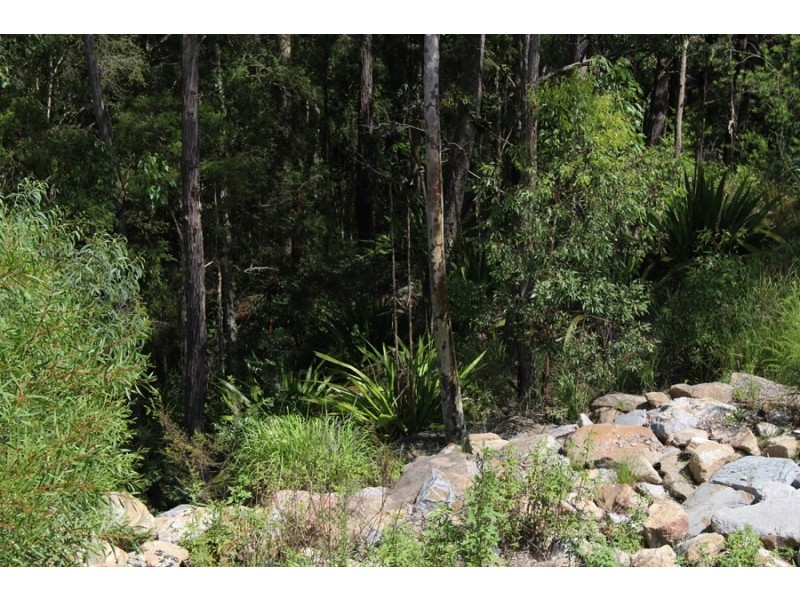 14 Blackwood Street, Cameron Park NSW 2285