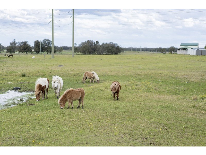 7 Peewee Close, Woodberry NSW 2322