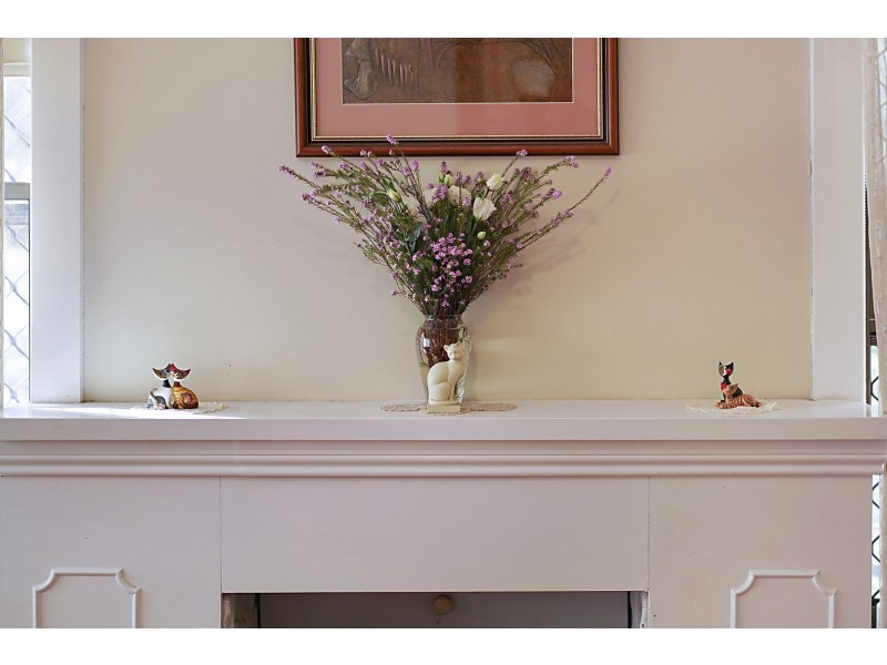 21 Wallace Street, Kotara NSW 2289