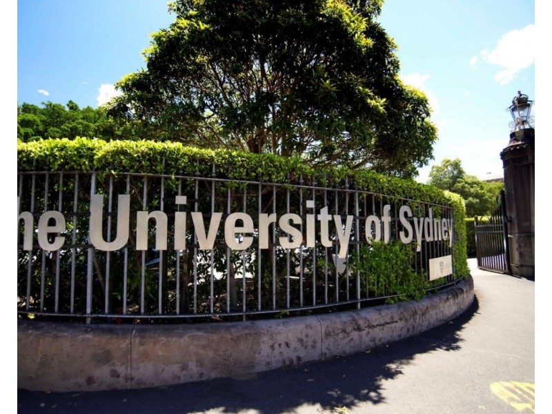 26/551 Elizabeth Street, Surry Hills NSW 2010