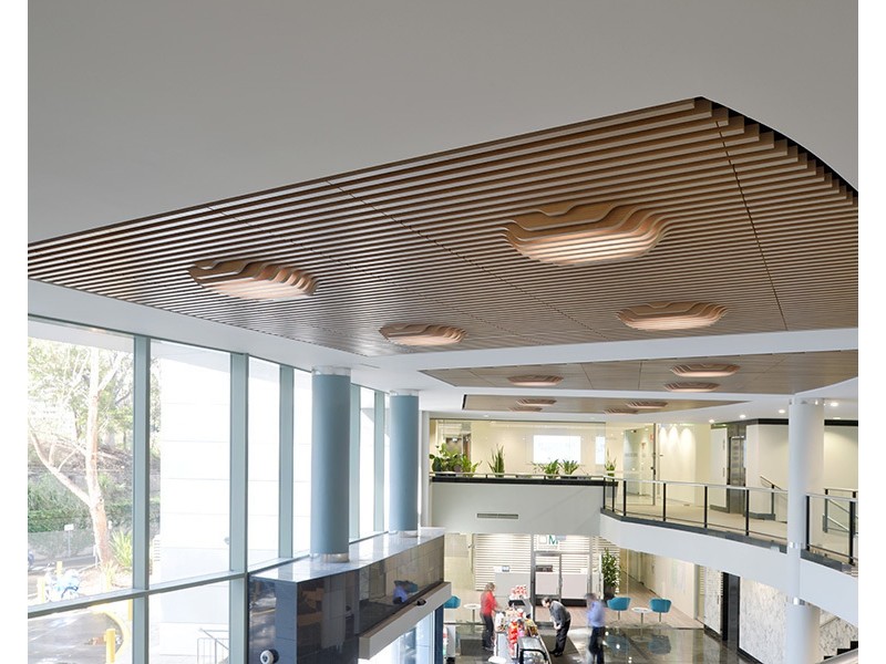 166 Epping Road, Lane Cove NSW 2066