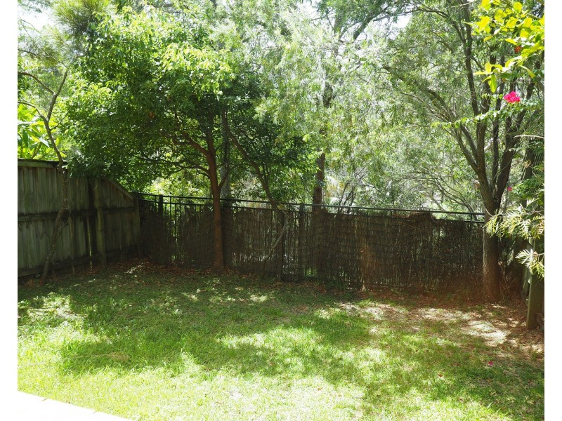 24/55 Garland Road, Naremburn NSW 2065