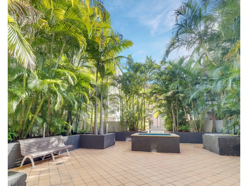 9/100 Cleveland Street, Chippendale NSW 2008