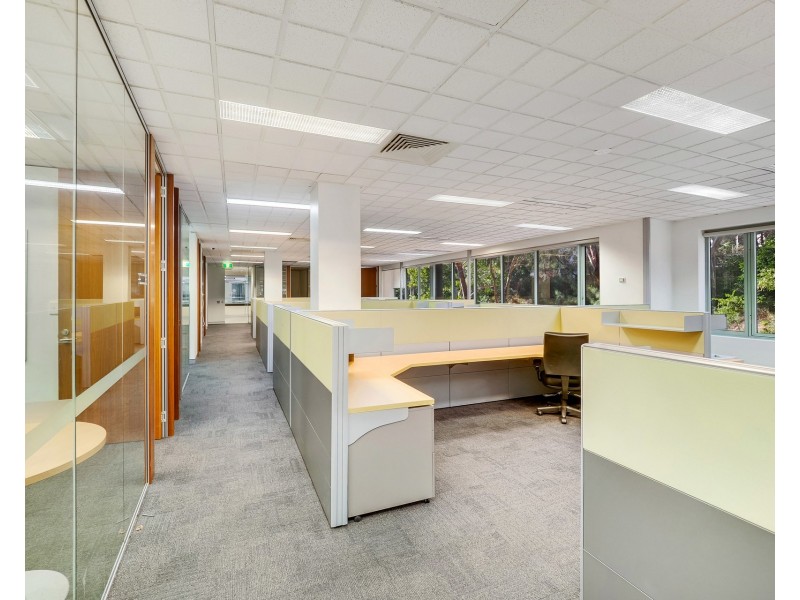 166 Epping Road, Lane Cove NSW 2066