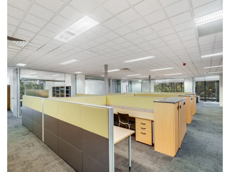 166 Epping Road, Lane Cove NSW 2066