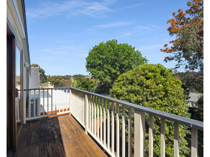 10 Mcburney Street, Naremburn NSW 2065