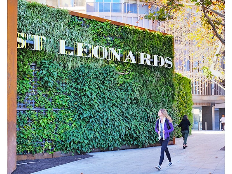 601/486 Pacific Highway, St Leonards NSW 2065