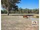258 Racecourse Road, Chiltern VIC 3683