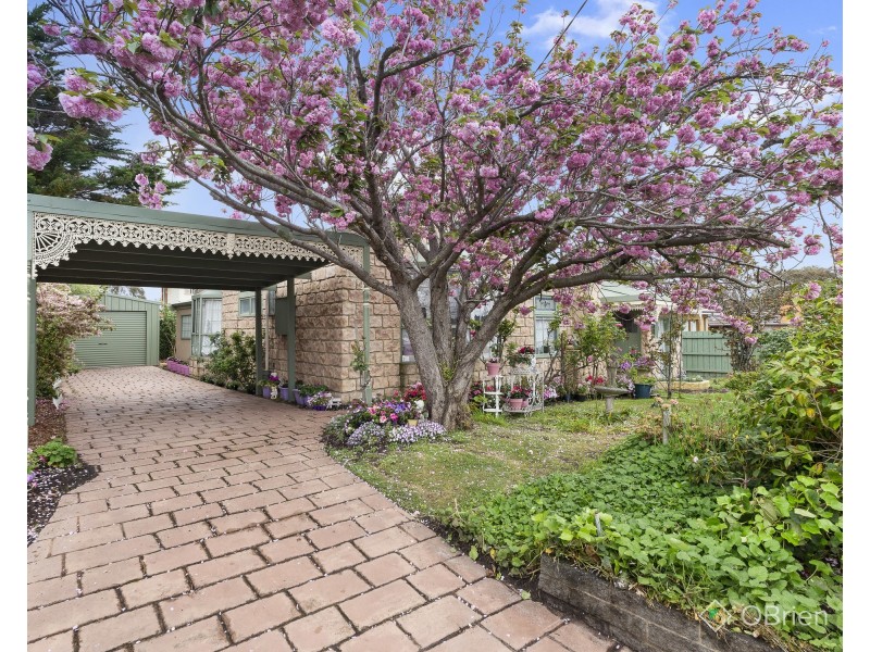 1 Belle Crescent, Mordialloc VIC 3195