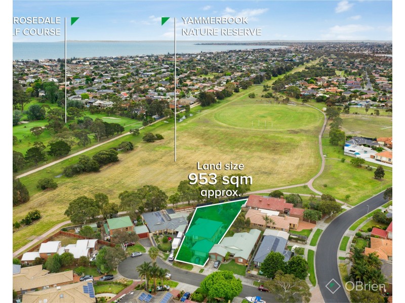 6 Carole Court, Aspendale Gardens VIC 3195