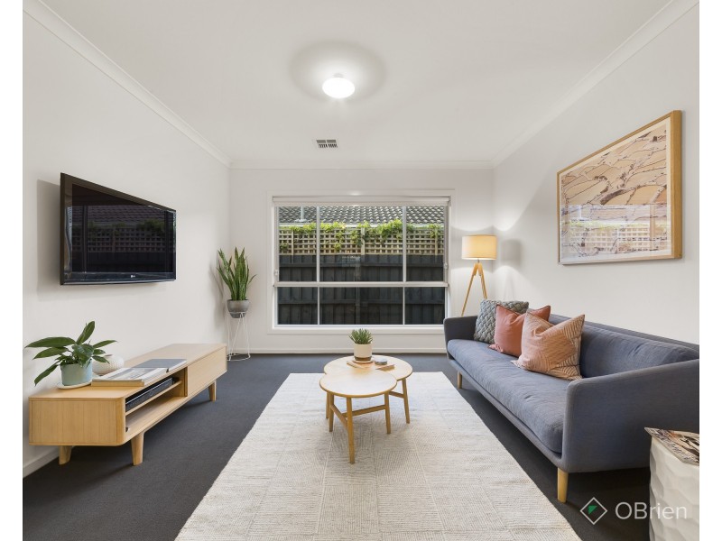 19 Tiffany Avenue, Cheltenham VIC 3192