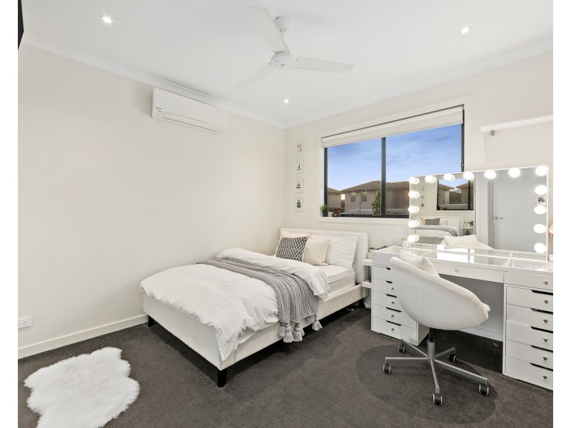 16 Argus Street, Cheltenham VIC 3192