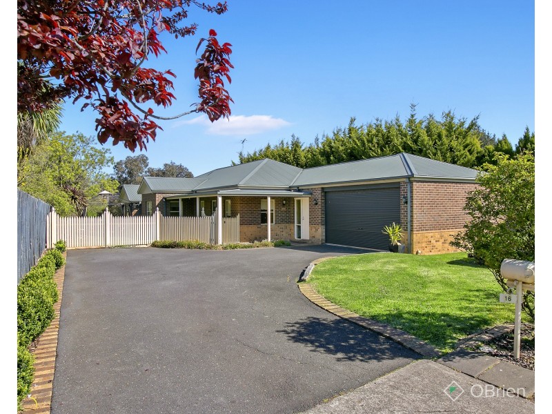 16 Boormanii Drive, Mornington VIC 3931