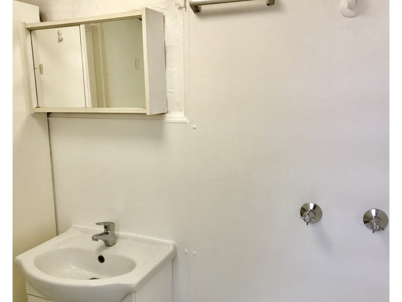 19 Victoria Street, Erskineville NSW 2043