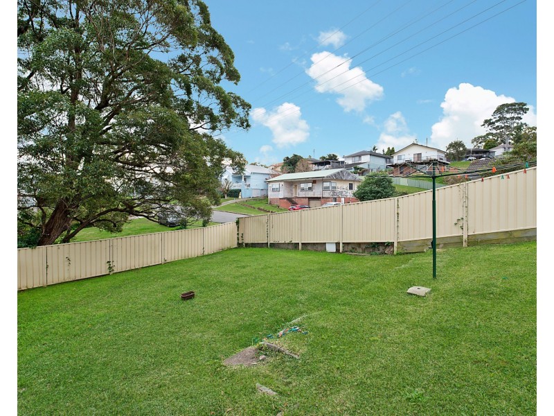 20 Vides Street, Cardiff NSW 2285