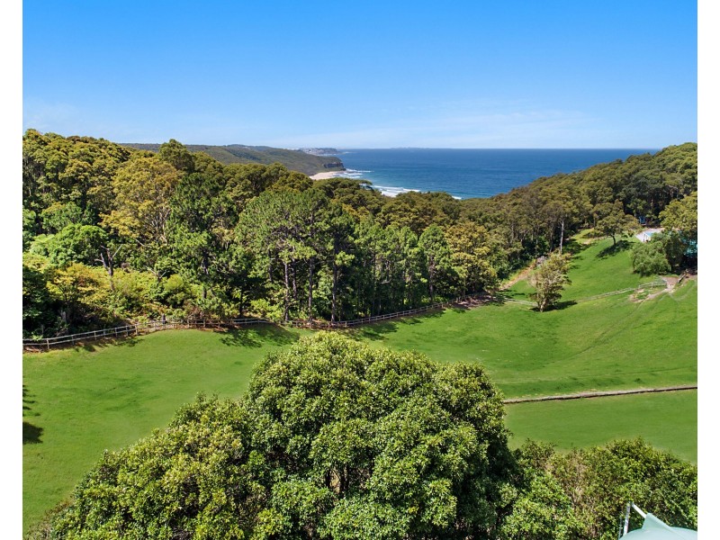 7 Banksia Avenue, Dudley NSW 2290