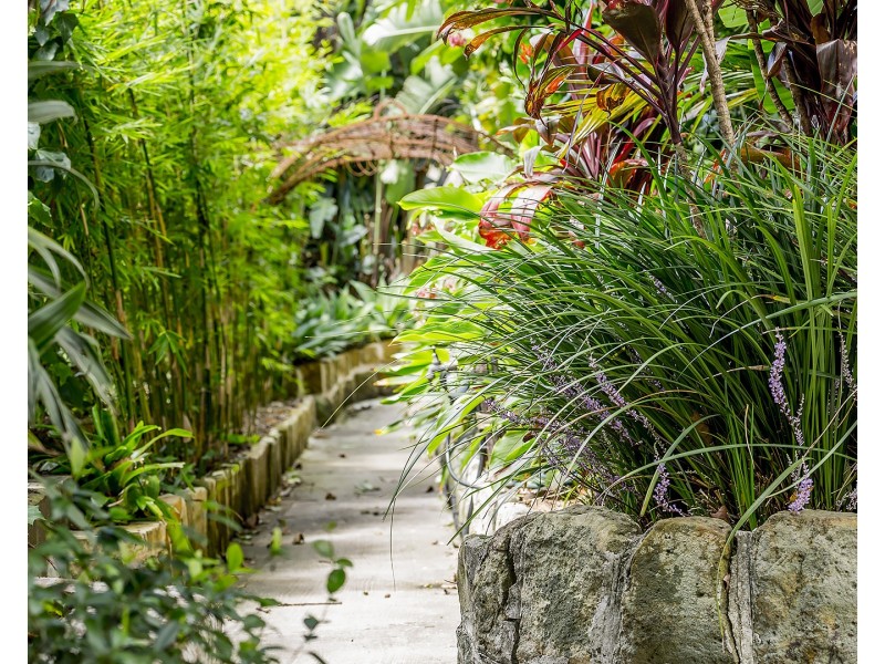 20/8a Wylde Street, Potts Point NSW 2011