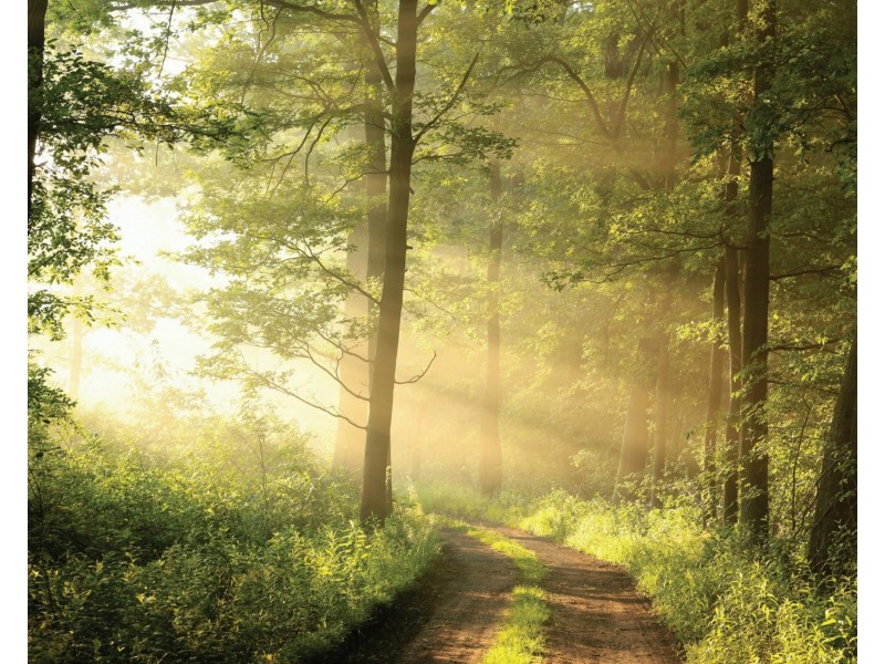 B702/1 Avon Road, Pymble NSW 2073