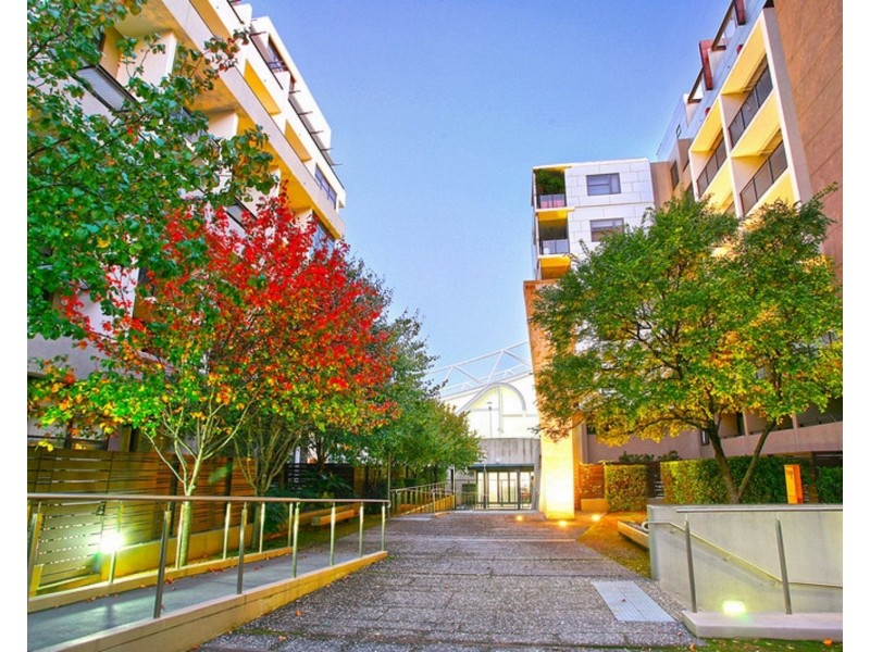 B206/444 Harris Street, Pyrmont NSW 2009